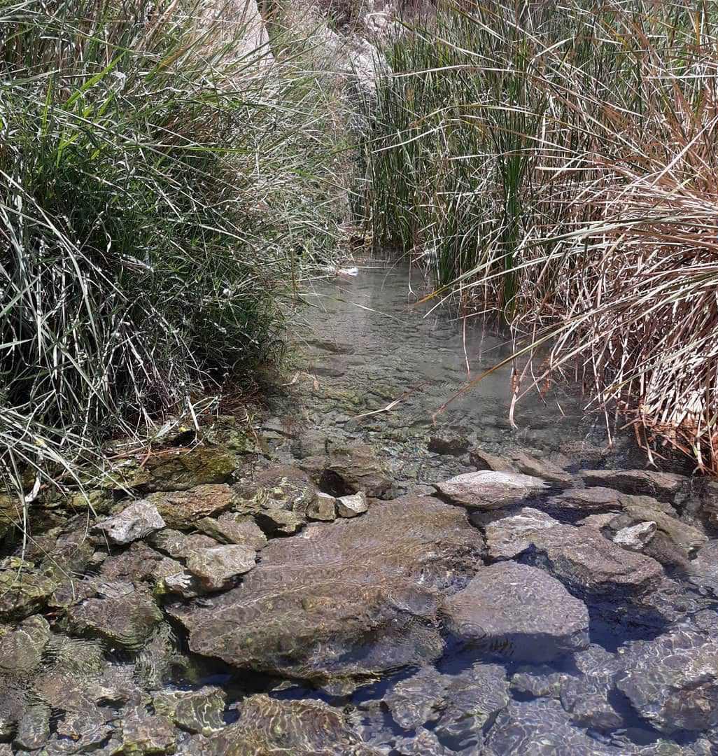 چشمه گلابی