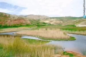 چمن متحرک چملی