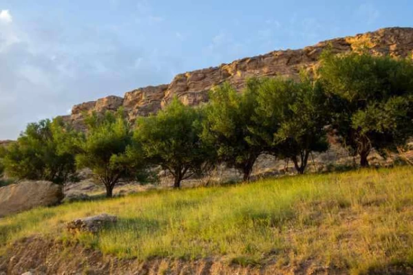 دره رند، سودرسی