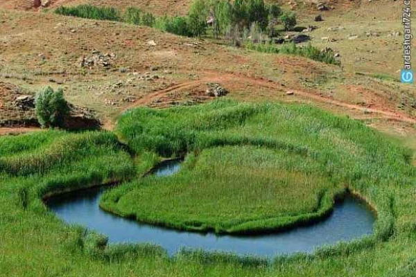 چمن متحرک چملی