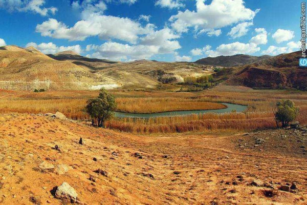 چمن متحرک چملی