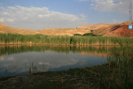 چمن متحرک چملی