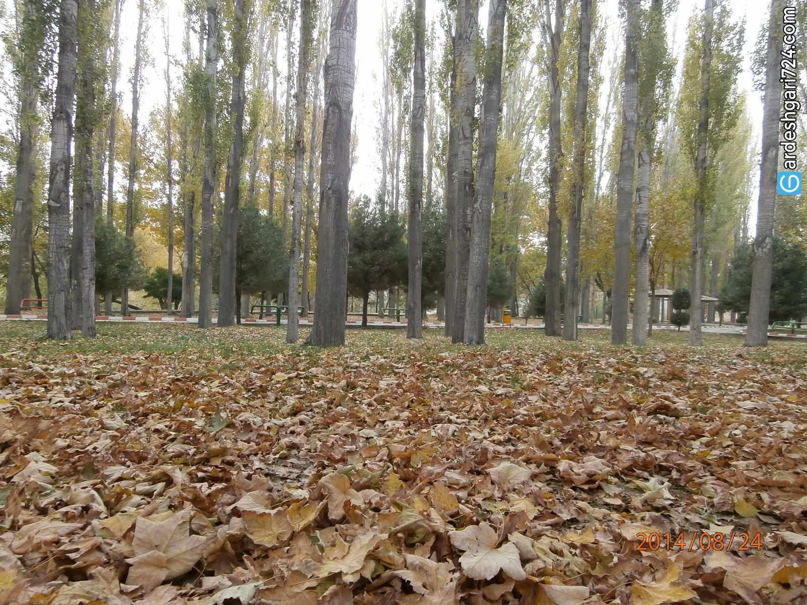 پارک ملت (باغ میکائیلی) مهاباد