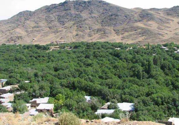 روستای فردو با شهرتی جهانی