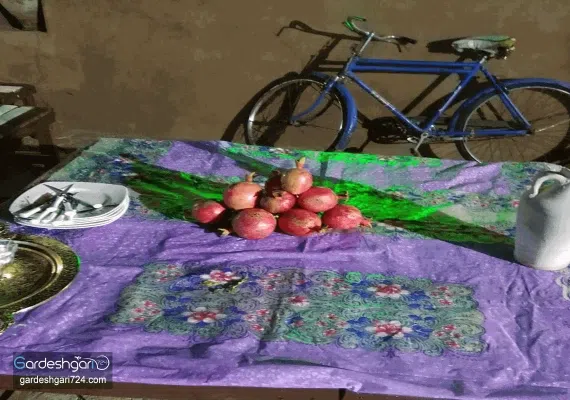 اقامتگاه بوم گردی ثامن