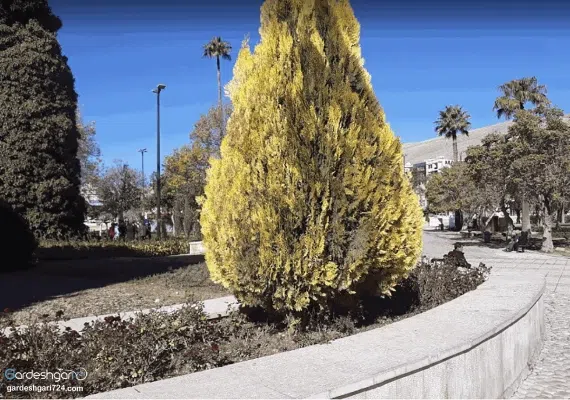 خانه معلم اردبیل