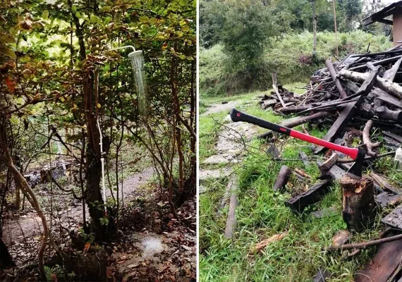 کلبه درختی در جنگل هیرکانی