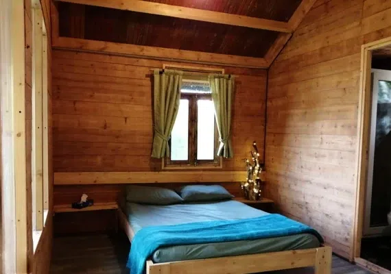 کلبه درختی در جنگل هیرکانی