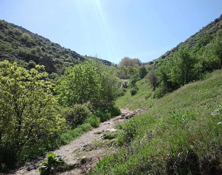 گردشگاه سلطان یعقوب