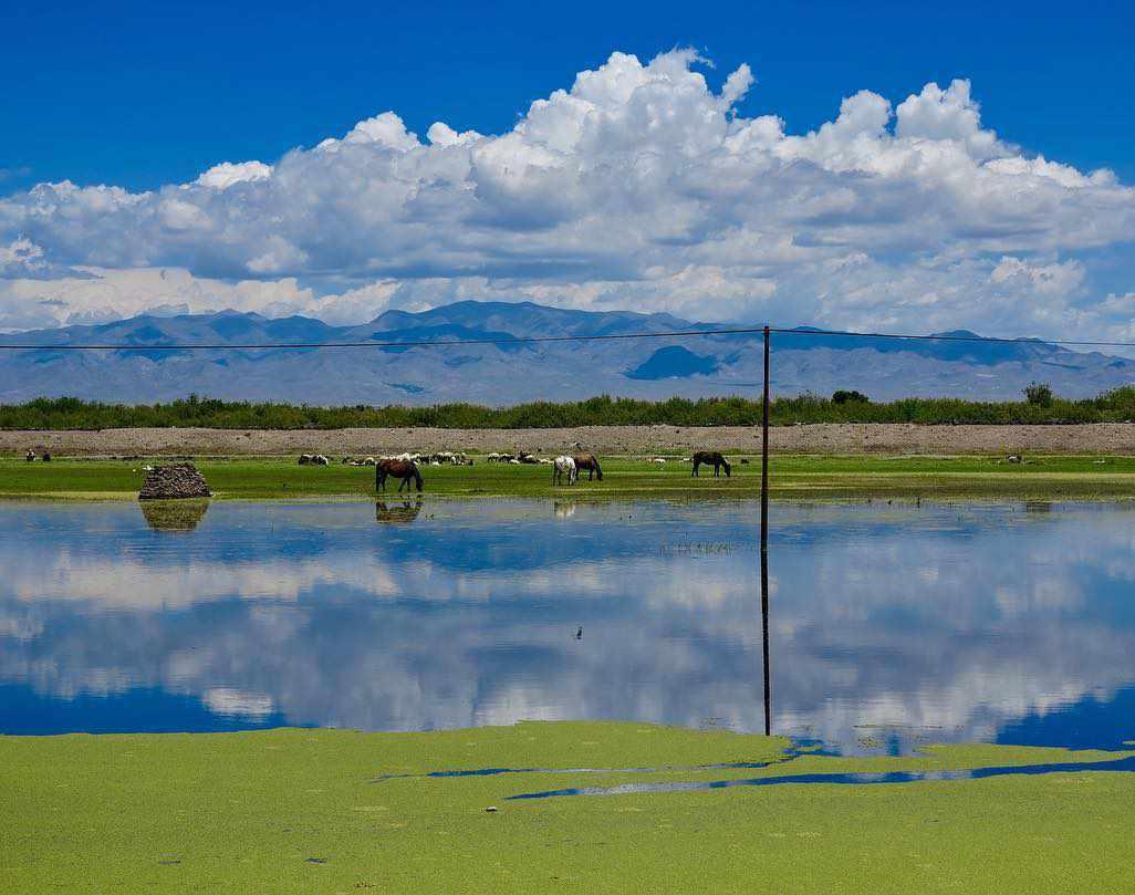 طبیعت بورالان