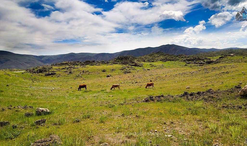 طبیعت بورالان