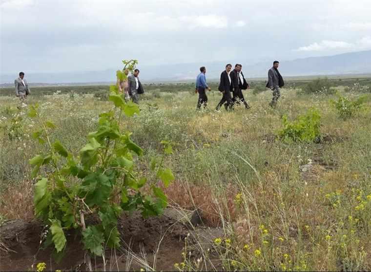 طبیعت بورالان