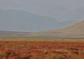 تالاب سولدوز نقده