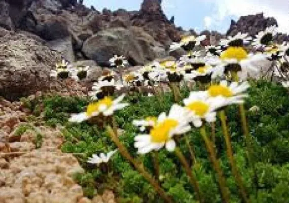 کوه سبلان (ساوالان) کجاست