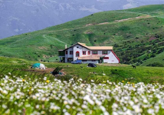 جنگل فندقلو