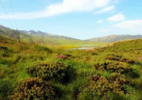 دریاچه نئور اردبیل