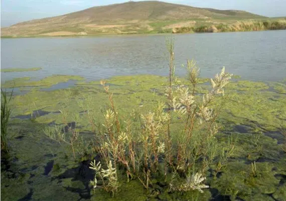 تالاب کانی برازان