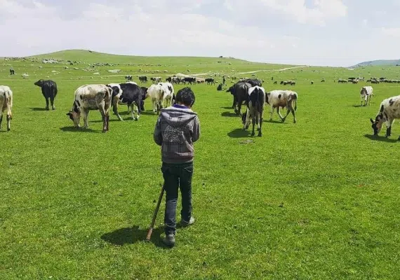 آبشار سردابه