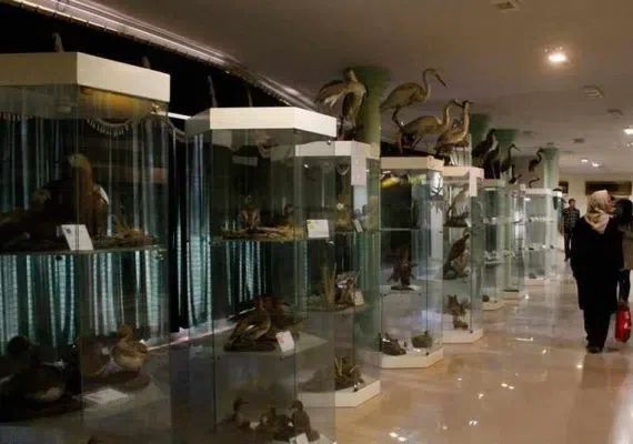 موزه تاریخ طبیعی اردبیل