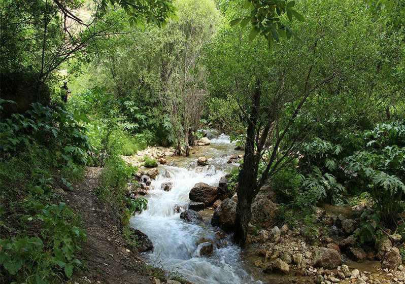 آبشار نره گر اسبو