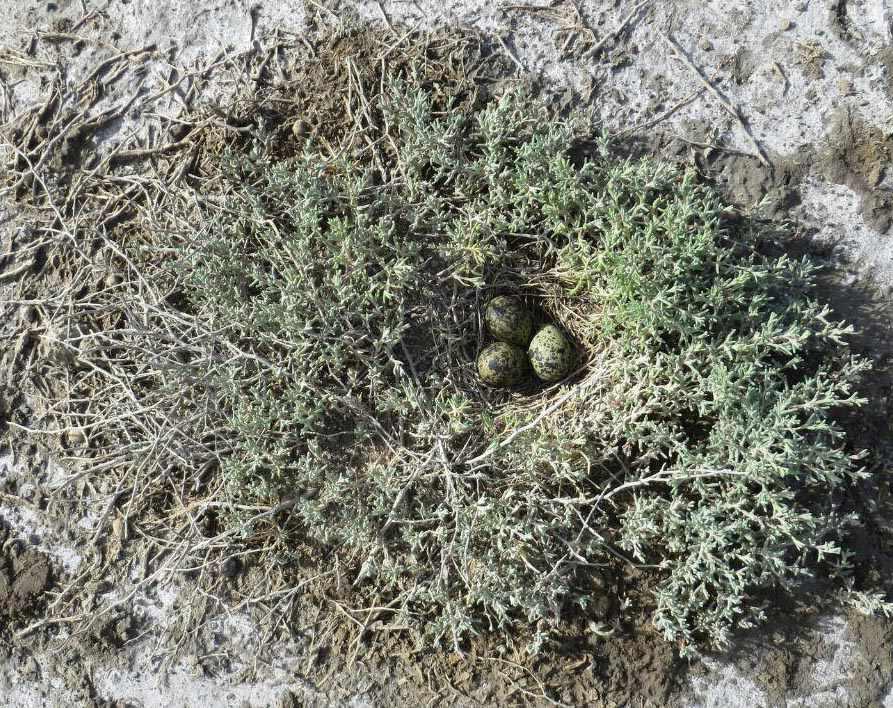 تالاب درگه سنگی