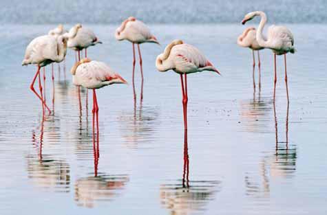 تالاب آق گل ماکو