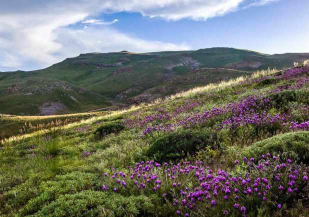 دریاچه نئور اردبیل