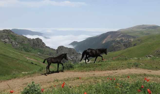 دریاچه نئور اردبیل