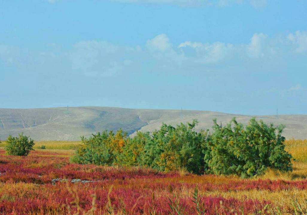 تالاب سولدوز نقده