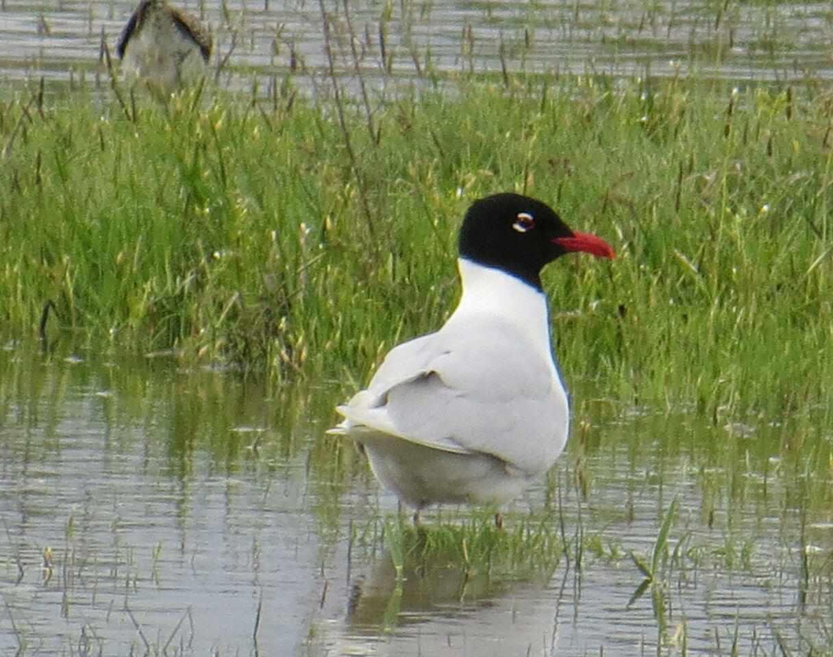 تالاب درگه سنگی