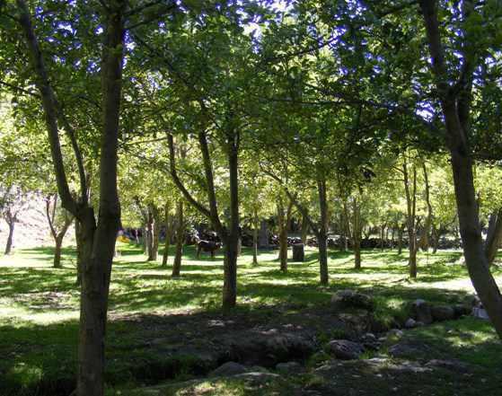 منطقه نمونه گردشگری سقزچی