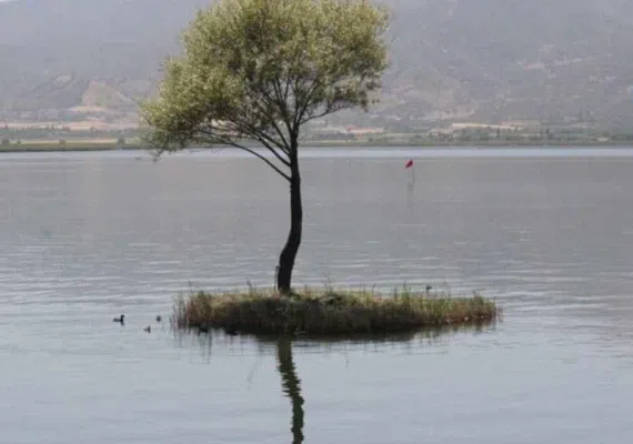 دریاچه زریوار (زریبار) مریوان کجاست