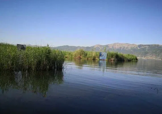 دریاچه زریوار (زریبار) مریوان کجاست