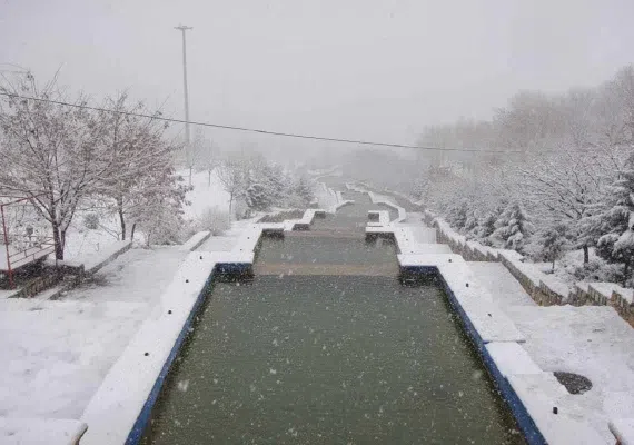 پارک کوهستان