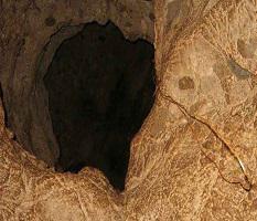 غار رتیل کرمانشاه