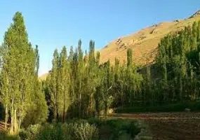 چشمه ونایی