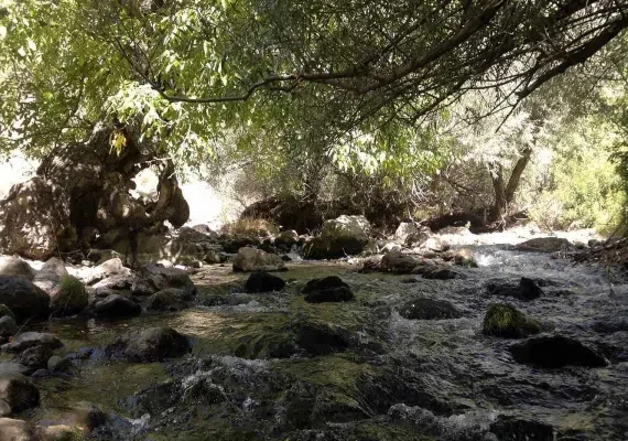 تفرجگاه تخت شاه