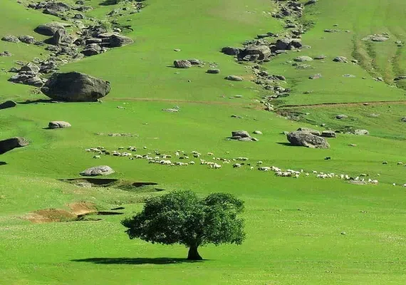 تفرجگاه مخمل کوه(تنگه شبیخون)