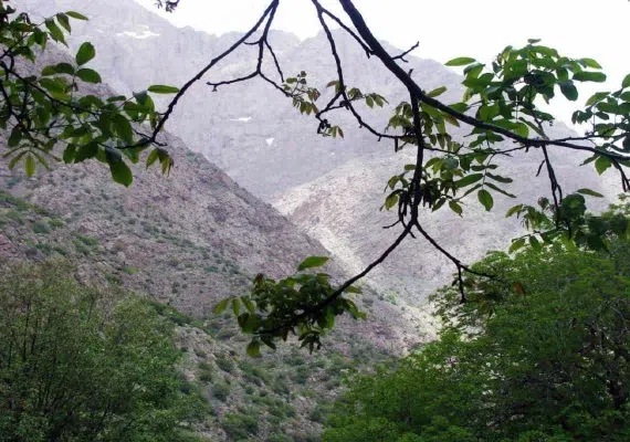 رودخانه کهمان الشتر