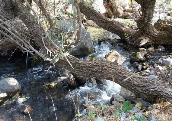 رودخانه کهمان الشتر