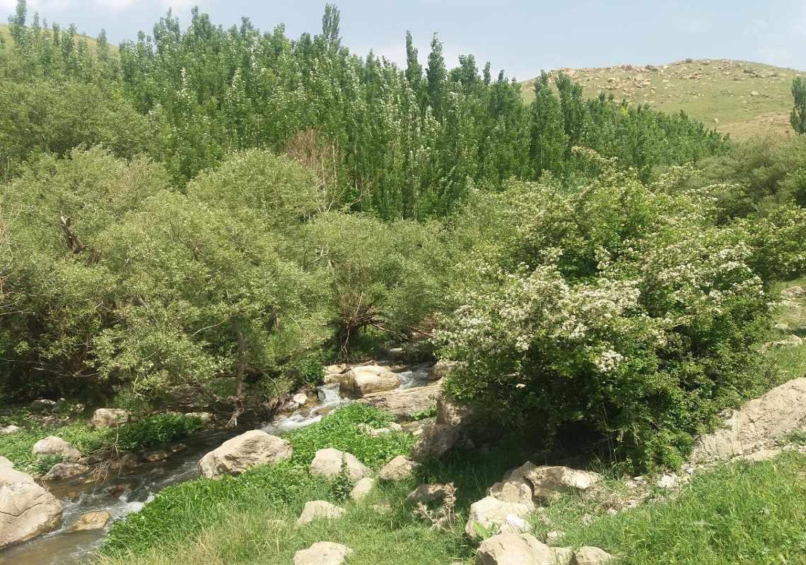 رودخانه ماربره