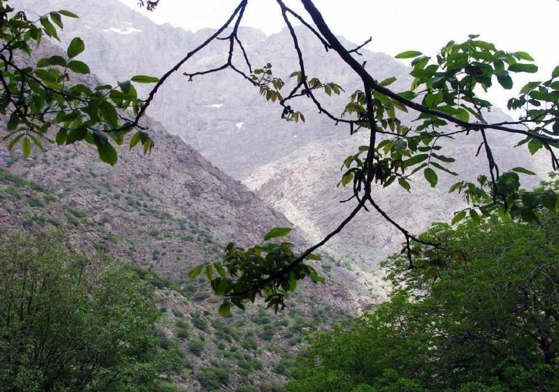 رودخانه کهمان الشتر