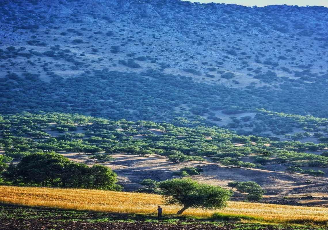 آبشار کاکارضا