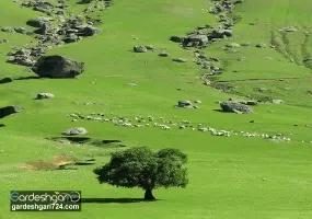 تفرجگاه مخمل کوه(تنگه شبیخون)