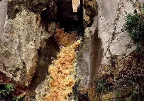 آبشار ماربره