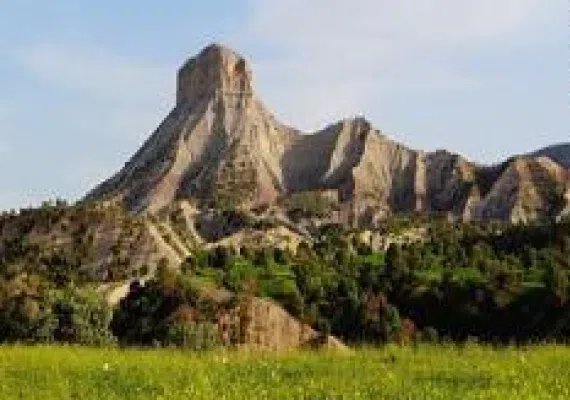 پارک جنگلی ششدار