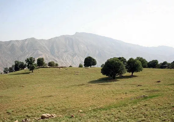 کبیرکوه ایلام