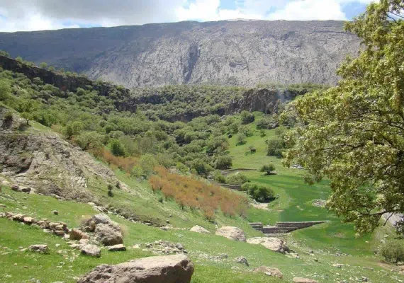 پارک جنگلی ششدار