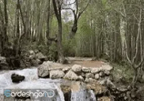 گردشگاه پیرغار کجاست؟