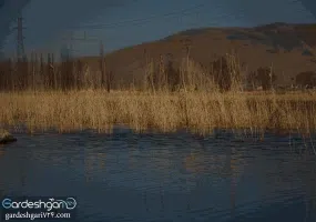 چشمه وقت و ساعت(جهان بین)